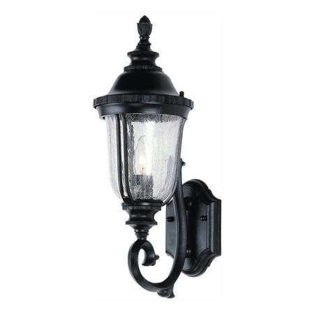 TRANS GLOBE One Light Black Copper Clear Crackled Finish Glass Wall Lantern 4021 BC